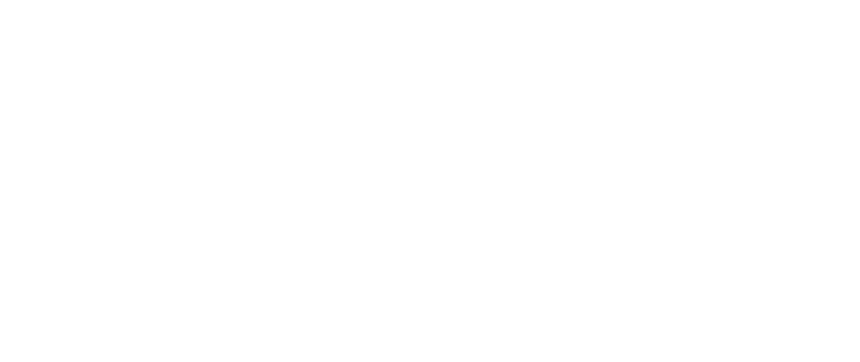 DEX Technology Solutions